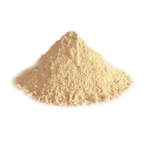 گچ مولدانا پادا